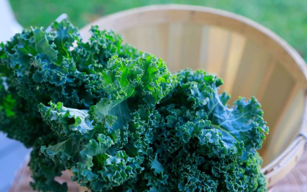 Kale in a farm basket