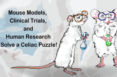 Mouse Model Study
